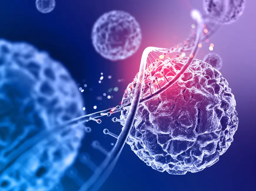 cells dna strand in pink blue purple color nk cell therapy